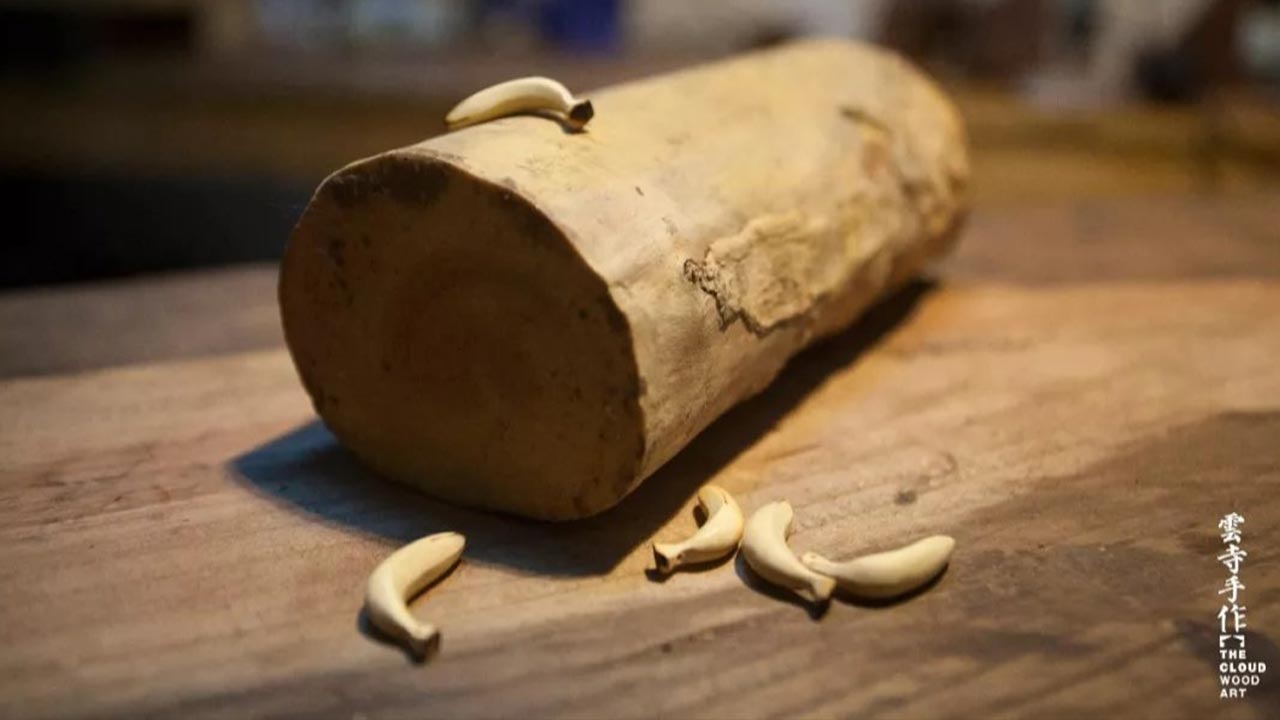 三月十一日小感